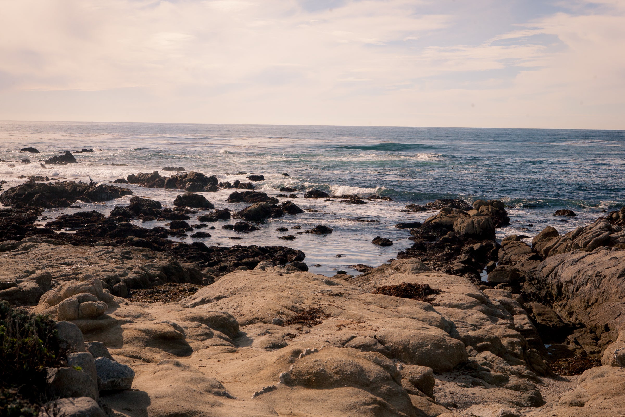 Monterey coast